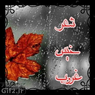 Telegram profile photo for شعر خیس غروب