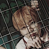 Telegram profile photo for free unsubs