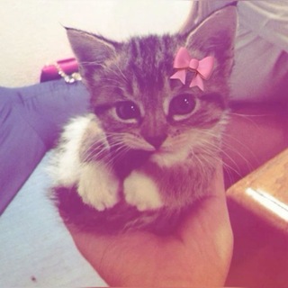 Telegram profile photo for Зірочки від Юляші🥰