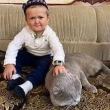 Telegram profile photo for Отзывы Хазбика