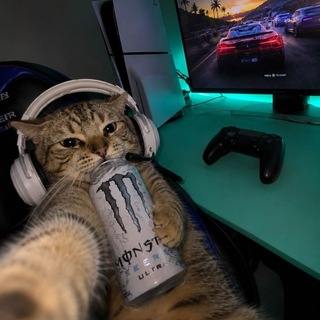 Telegram profile photo for كايزر