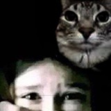 Telegram profile photo for Канал для поиска нью💋