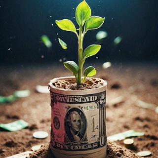 Telegram profile photo for ProЗемлю | Дзен Инвестиций