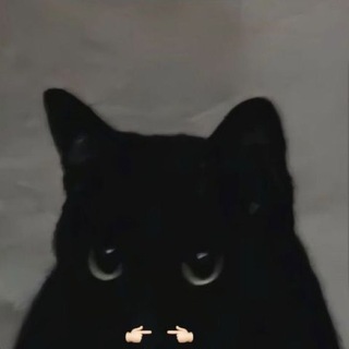 Telegram profile photo for Просто Кит