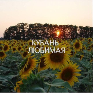 Telegram profile photo for Любимая Кубань