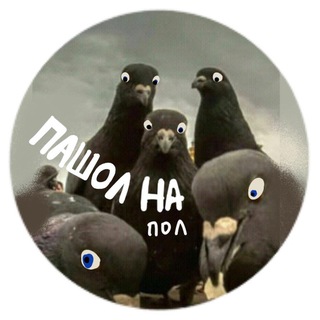 Telegram profile photo for Пашол на пол! | Точка импро