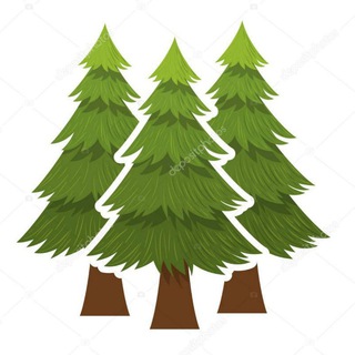 Telegram group profile photo for Продажа Леса 🌲 Лес Кругляк купить & Москва Питер Спб деловая древесина & Стволы деревьев Вяз Акация Дуб Тополь Сосна Ясень Орех