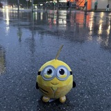 Telegram profile photo for Коробка