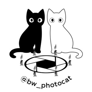 Telegram profile photo for Кот Бегемот