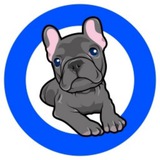 Telegram profile photo for BabyDeFido_BSC_Announcements