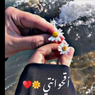 Telegram profile photo for أقحوانتي🌼