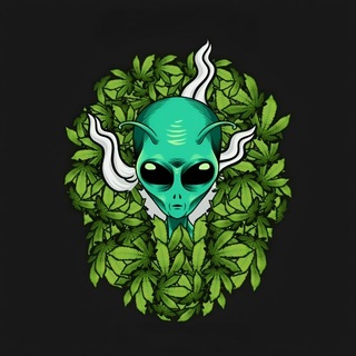 Telegram profile photo for πΎπππ
π³πππππ βοΈ