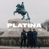 Telegram profile photo for Platinовый канал