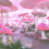 Telegram profile photo for Грибная поляна