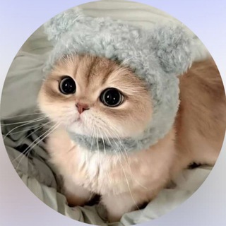 Telegram profile photo for โ๐ปโบ๏ธlucky cat