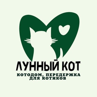 Telegram profile photo for Лунный Кот 🐾