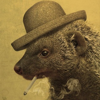 Telegram profile photo for Записки Ефрейтора