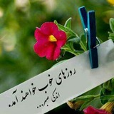 Telegram profile photo for بصیرت