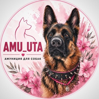 Telegram profile photo for 𝗔𝗠𝗨_𝗨𝗧𝗔 🌸