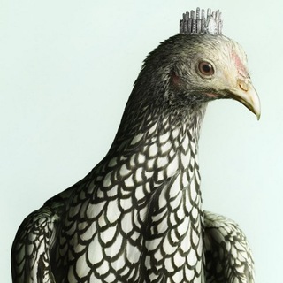 Telegram profile photo for Ко-Ко-Ко (фэшн / стиль / мода)