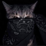 Telegram profile photo for 🫂ارز کده🦋 🌚