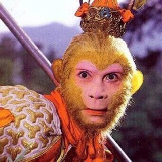 Telegram profile photo for 猴王出海经验所得