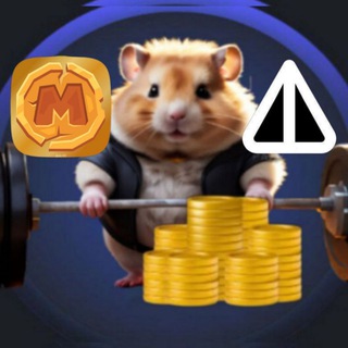 Telegram profile photo for Today fast COMBO | MemeFi / Hamster / Notcoin pool