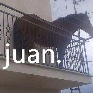 Telegram profile photo for Juan Portal