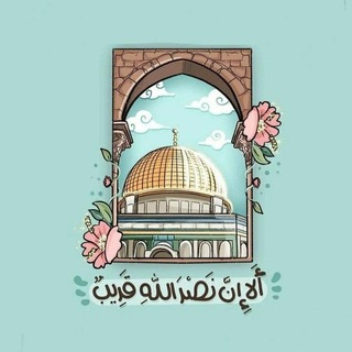Telegram profile photo for أمل الأمـ𓂆ــة 🔻