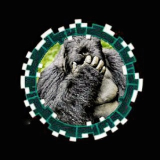 Telegram profile photo for Ingress 坑爹Portal申请