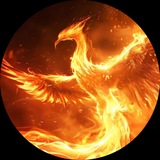 Telegram profile photo for ФК ФЕНИКС (Одинцово)