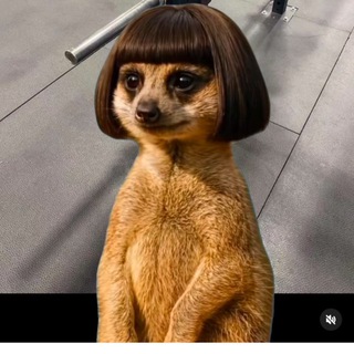 Telegram profile photo for Виссарион вещает
