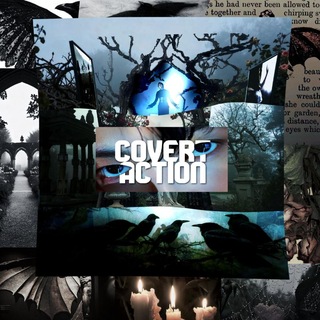 Telegram profile photo for covert action