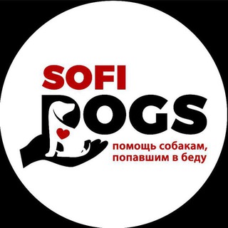 Telegram profile photo for Sofidogs. 🐕