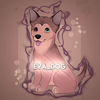 Telegram profile photo for Eva_dogs
