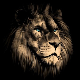Telegram profile photo for The Doctor Of Sports Betting