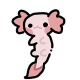 Telegram profile photo for Секреты кори