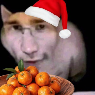 Telegram profile photo for Shitcord