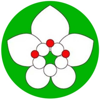 Telegram profile photo for ПЕРВЫЙ ХОЛИСТИЧЕСКИЙ ПОРТАЛ "ПУТИ ЗДОРОВЬЯ"