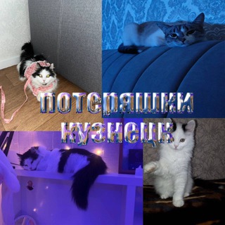 Telegram profile photo for Потеряшки Кузнецк