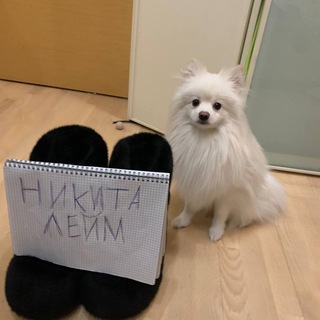 Telegram profile photo for Отзывы Никитылейма