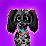 Telegram profile photo for Run and love🐾