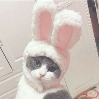 Telegram profile photo for Батяша значит Гостеприимная