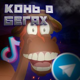 Telegram profile photo for конь в бегах