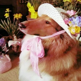 Telegram profile photo for Итоги эскапизма