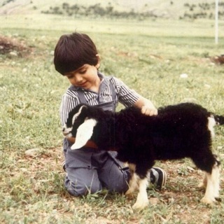 Telegram profile photo for فينكس