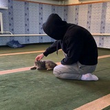Telegram profile photo for مازال"2:55
