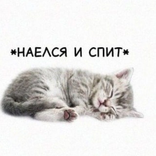 Telegram profile photo for а че нет