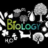 Telegram profile photo for 12TH BIOLOGY QUIZ