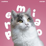 Telegram profile photo for Proof @iMicoy